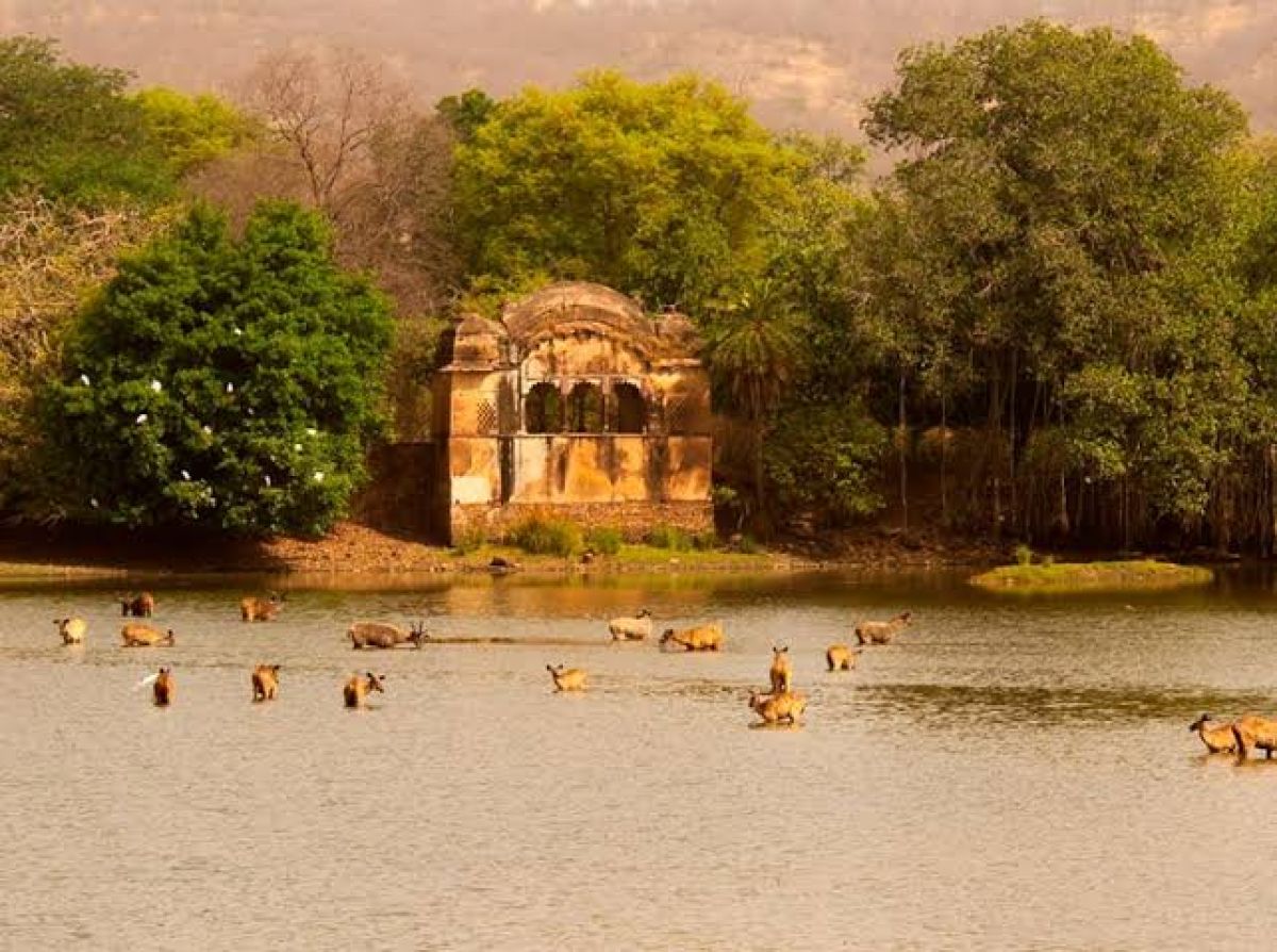 Ranthambore Tiger Reserve