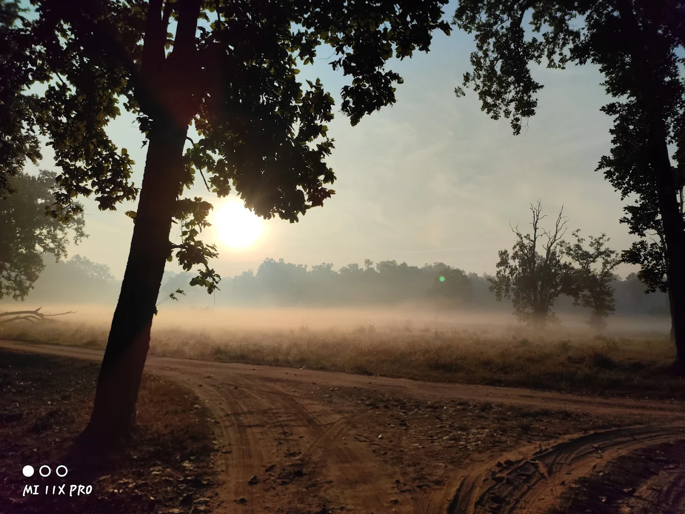 Kanha Tiger Reserve