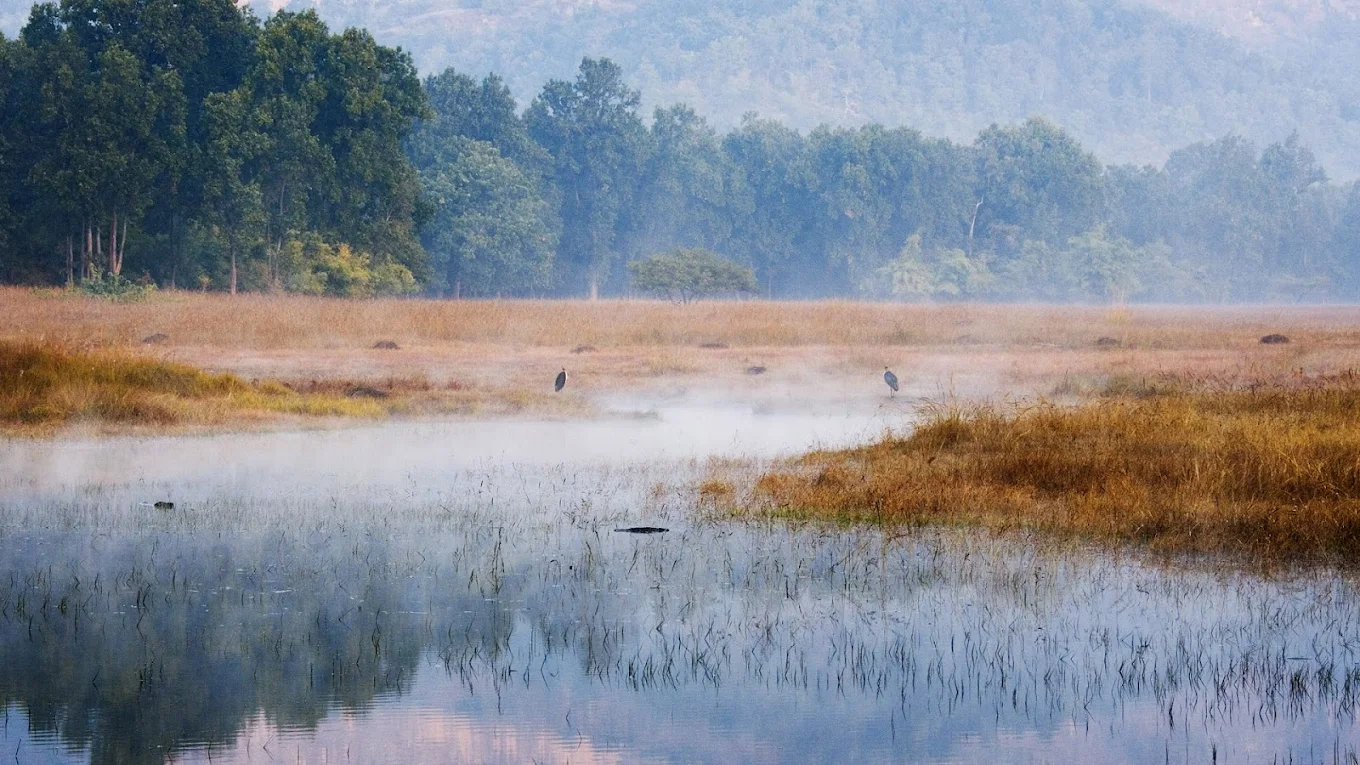 Bandhavgarh Tiger Reserve