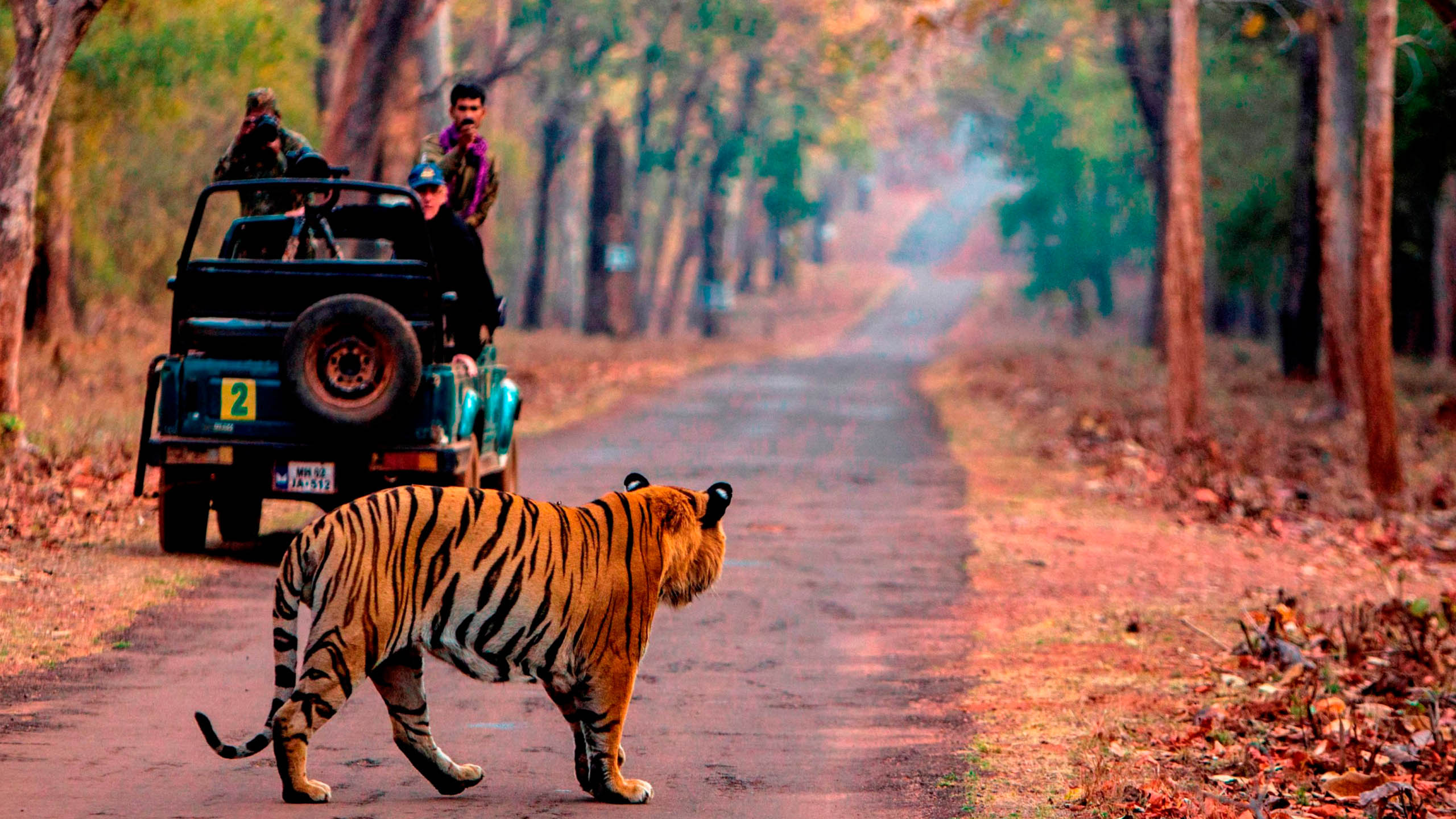 Tadoba Tiger Reserve